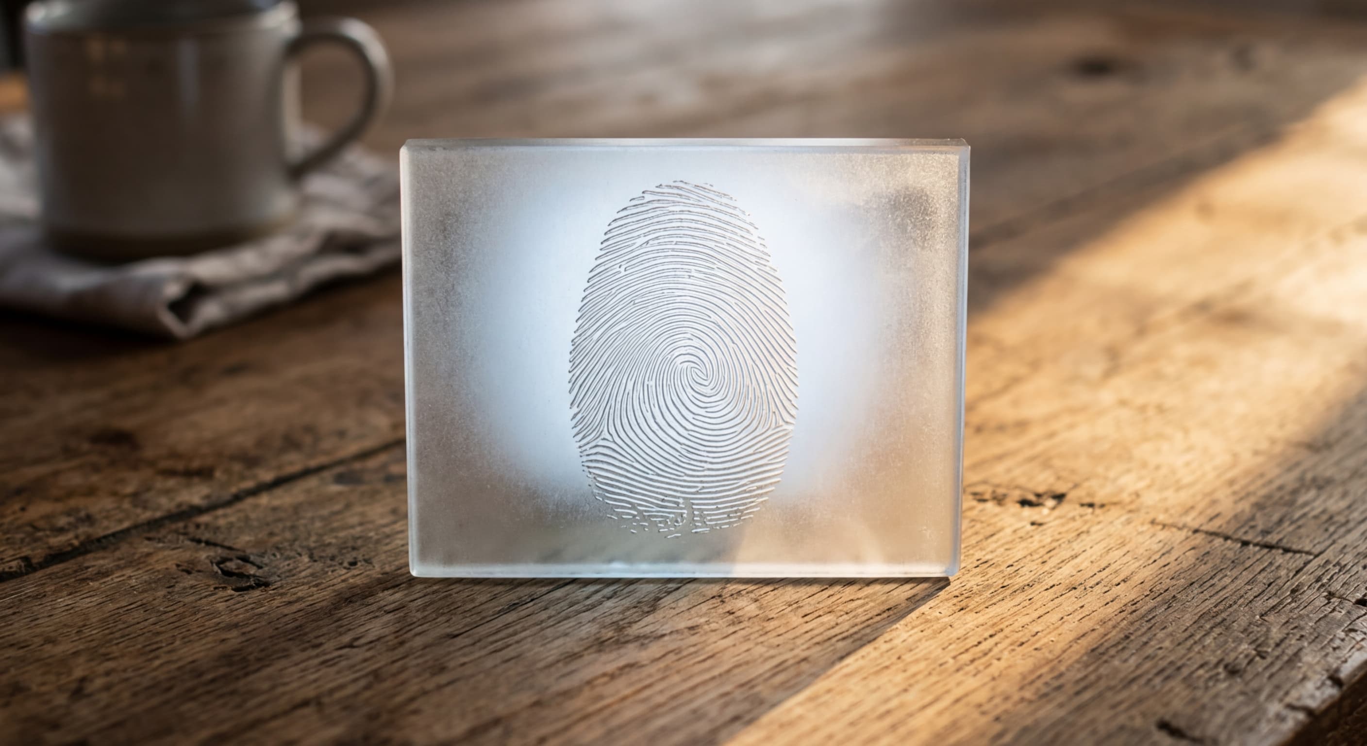 Madison Square Garden Faces Class Actions Over a Facial-Recognition Data Breach (2026)